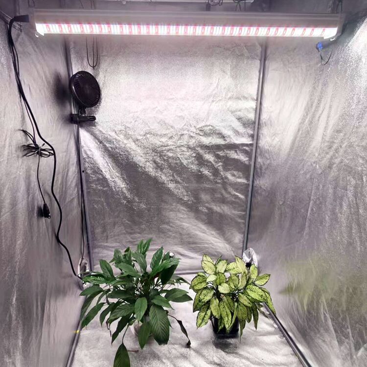 23275c495c76af81ac422f2790c65b6