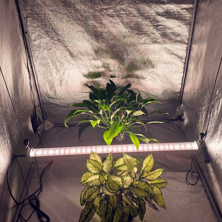 3548b418d801f6640f33eba97b4909a