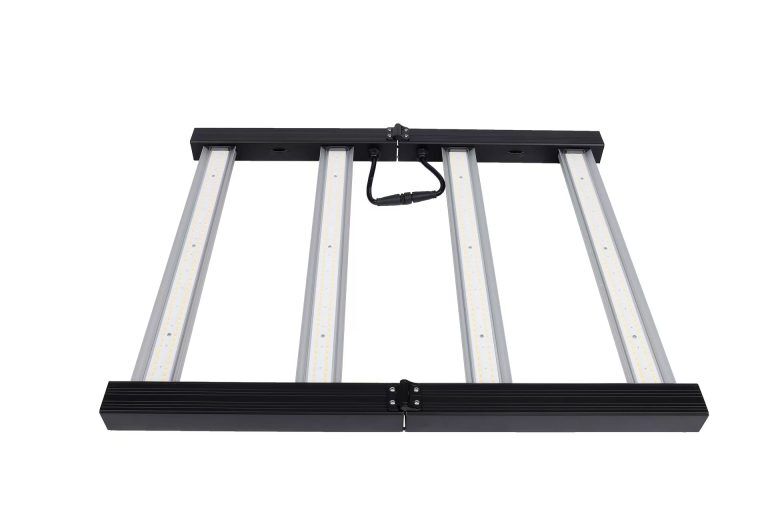 1f0db6507cec77ed06701fd51e216b2