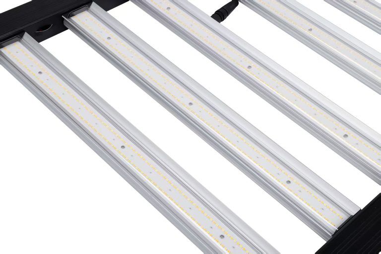 4ca30fbbafd80212a0571949c143c44